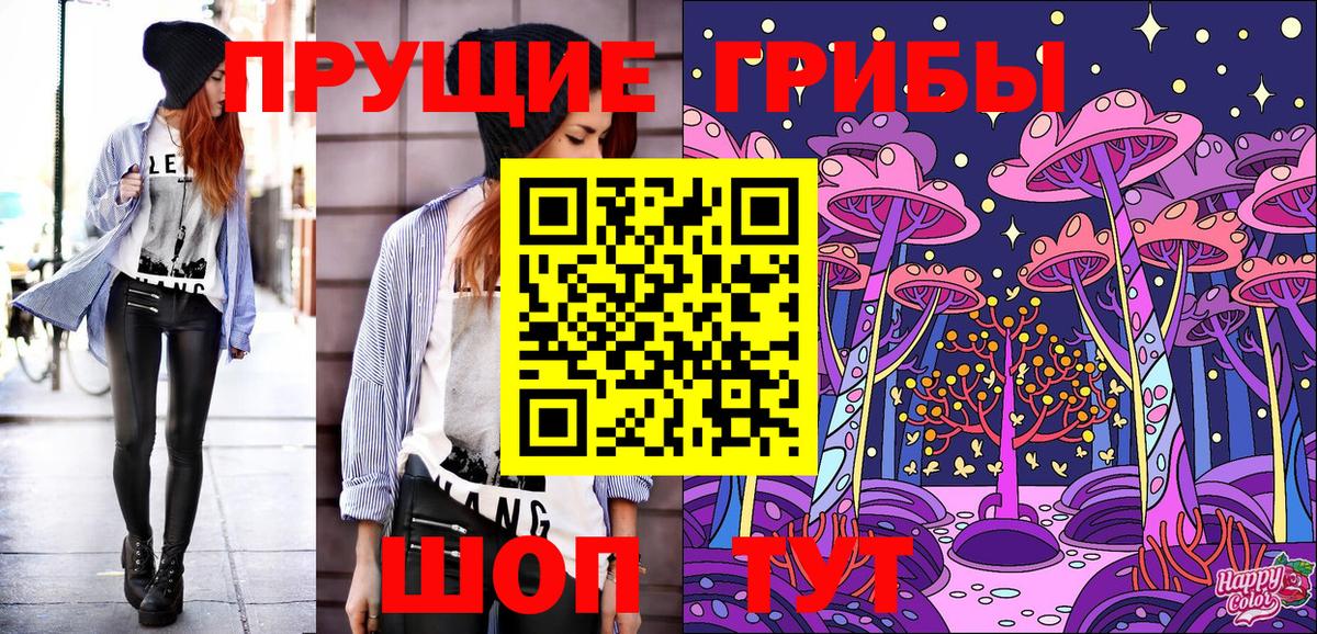 Галлюциногенные грибы Psilocybine cubensis Боровичи