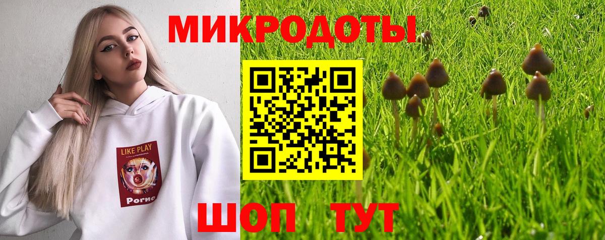 Галлюциногенные грибы Cubensis  Вход с VPN  Галлюциногенные грибы Psilocybe  Боровичи 